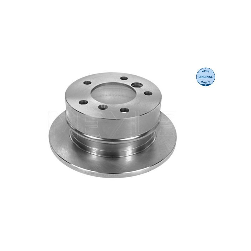 Disco freno asse posteriore - MEYLE
