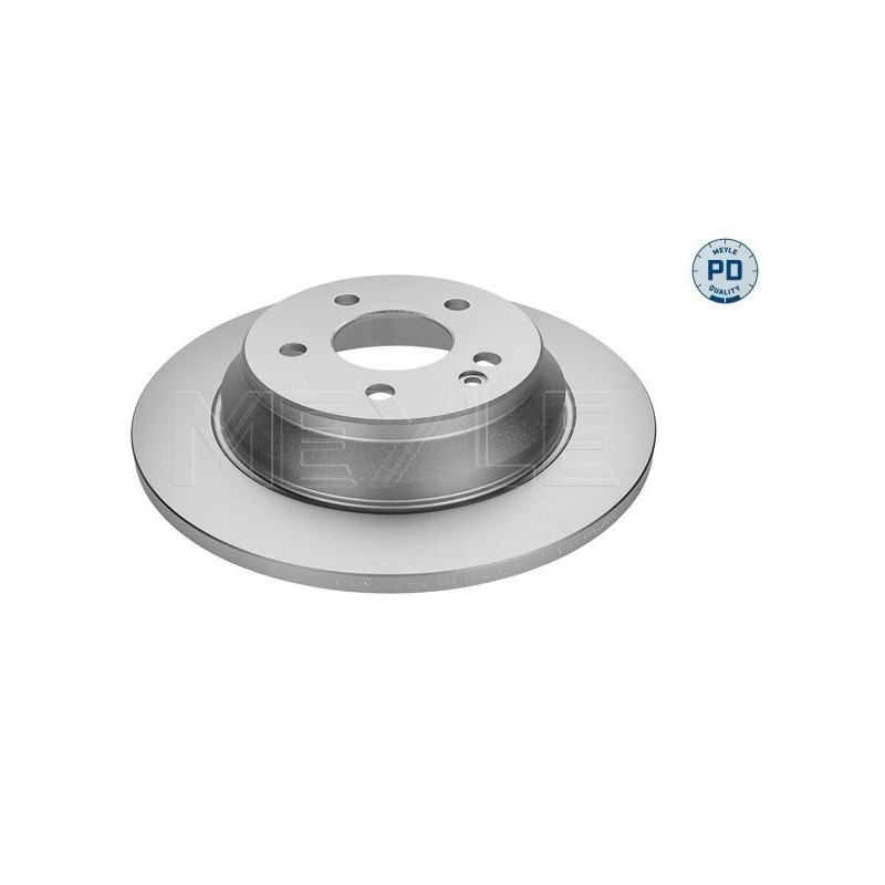 Disco freno asse posteriore - MEYLE