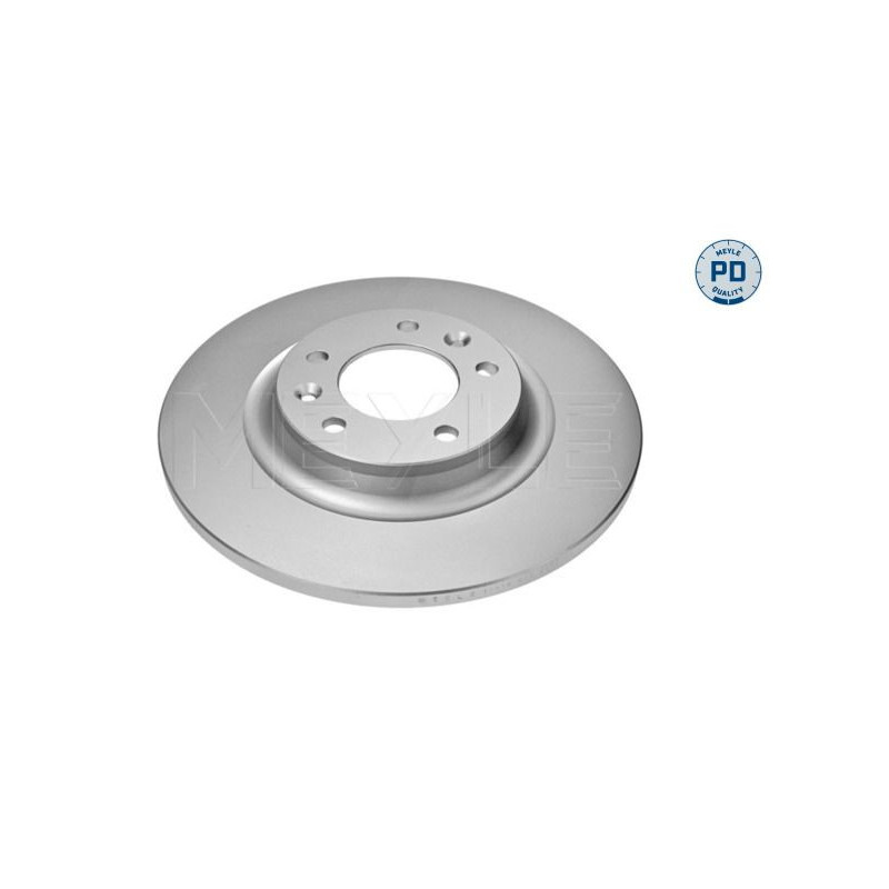 Disco freno asse posteriore - MEYLE