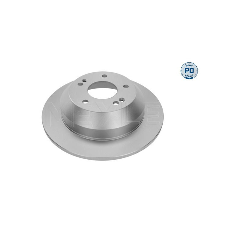 Disco freno asse posteriore - MEYLE