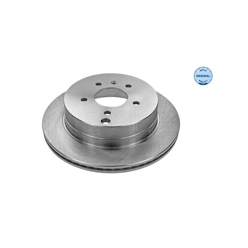Disco freno asse posteriore - MEYLE