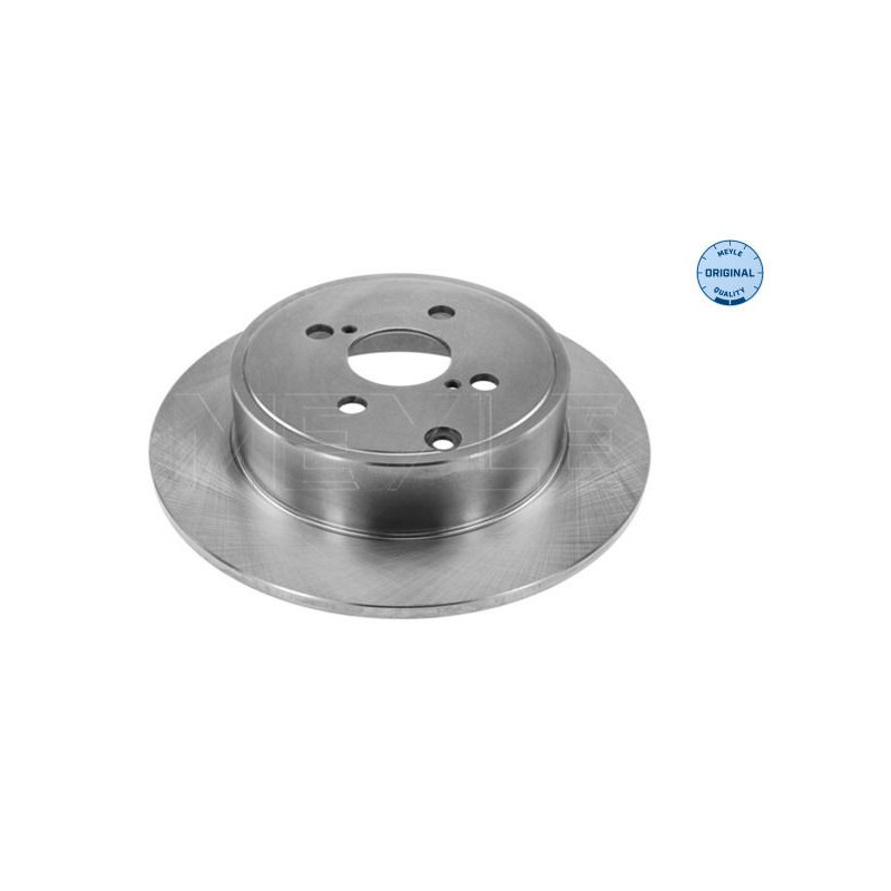 Disco freno asse posteriore - MEYLE