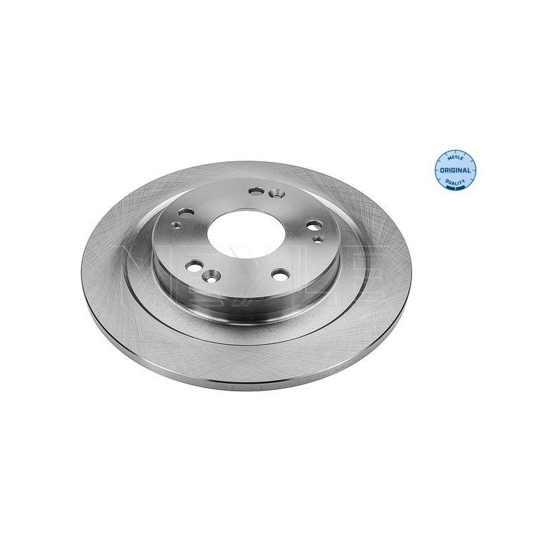 Disco freno asse posteriore - MEYLE