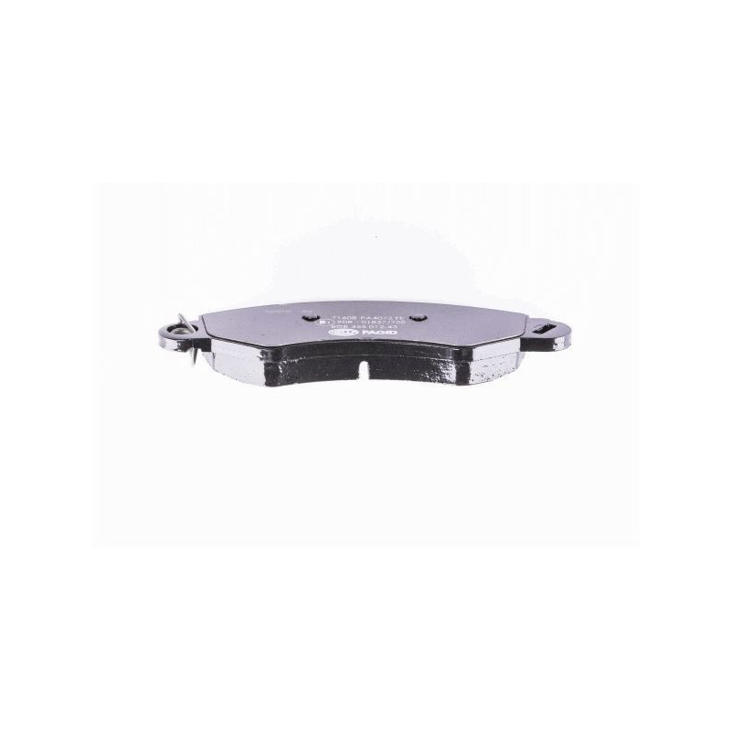 Pastiglie freno asse anteriore - PAGID