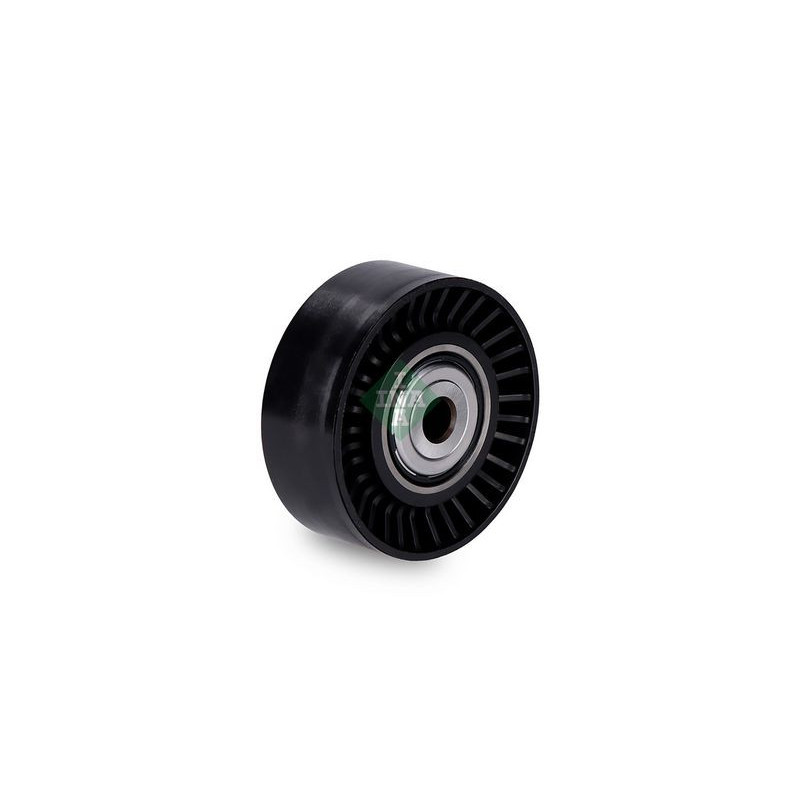 Tendicinghia trapezoidale - INA