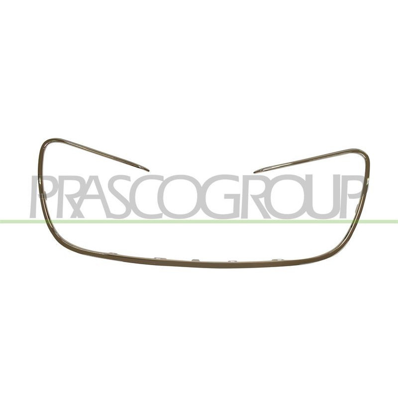 Griglia radiatore - PRASCO