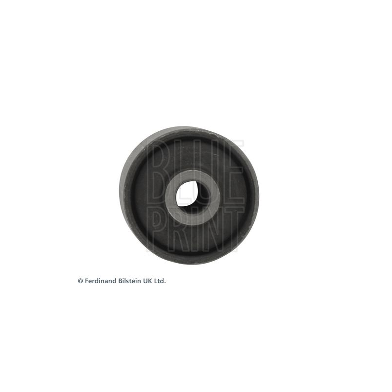 Supporto braccio oscillante - BLUE PRINT