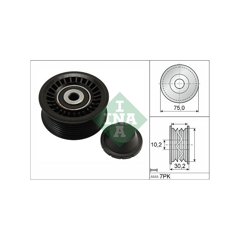 Tendicinghia trapezoidale - INA