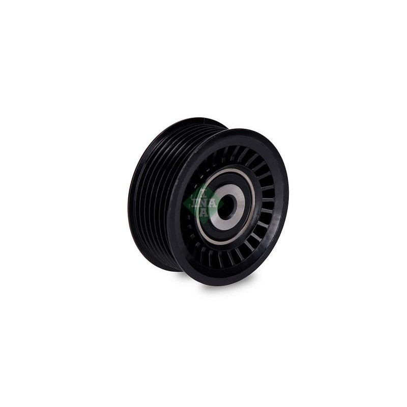 Tendicinghia trapezoidale - INA