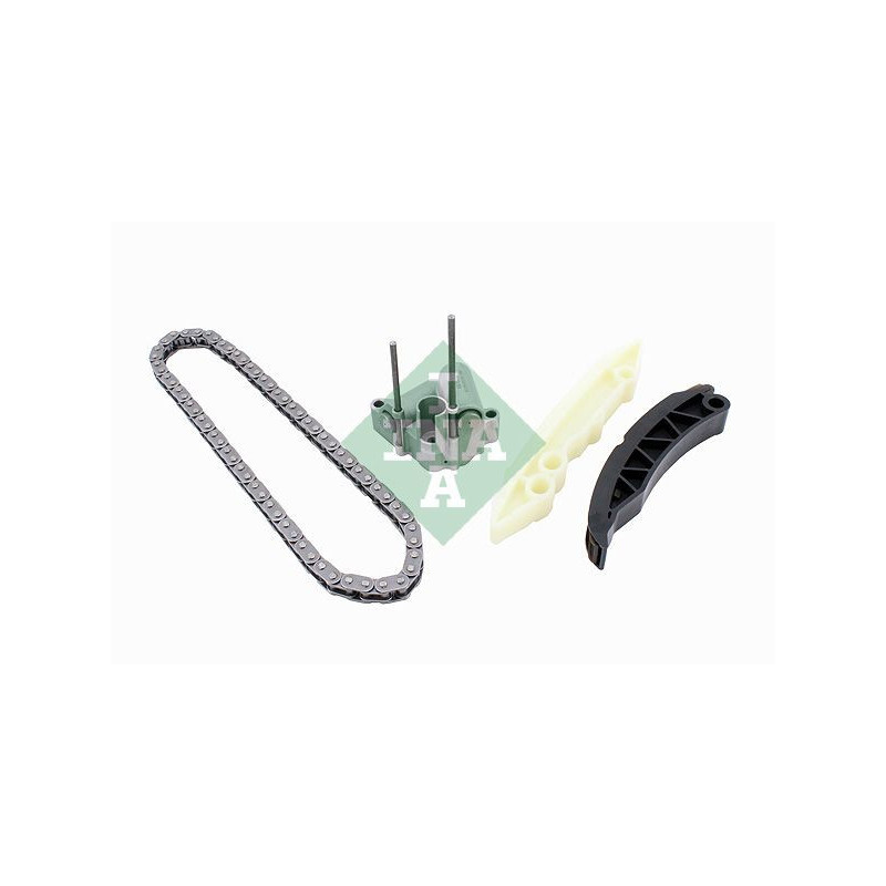 Tendicinghia distribuzione - INA