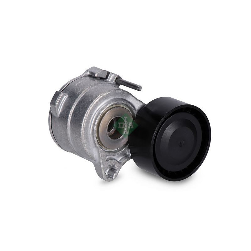 Tendicinghia trapezoidale - INA