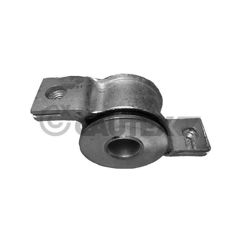 Braccio oscillante asse posteriore - CAUTEX GOMMA E PARTI MOTORE