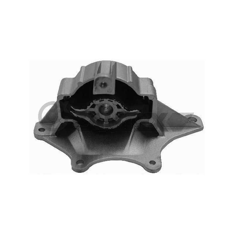 Supporto motore - CAUTEX GOMMA E PARTI MOTORE