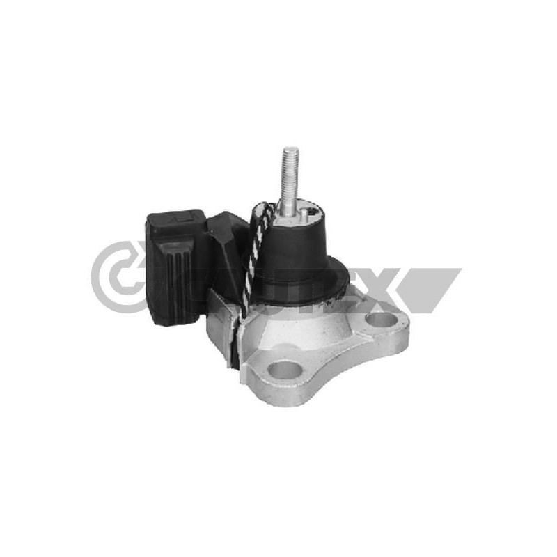 Supporto motore - CAUTEX GOMMA E PARTI MOTORE