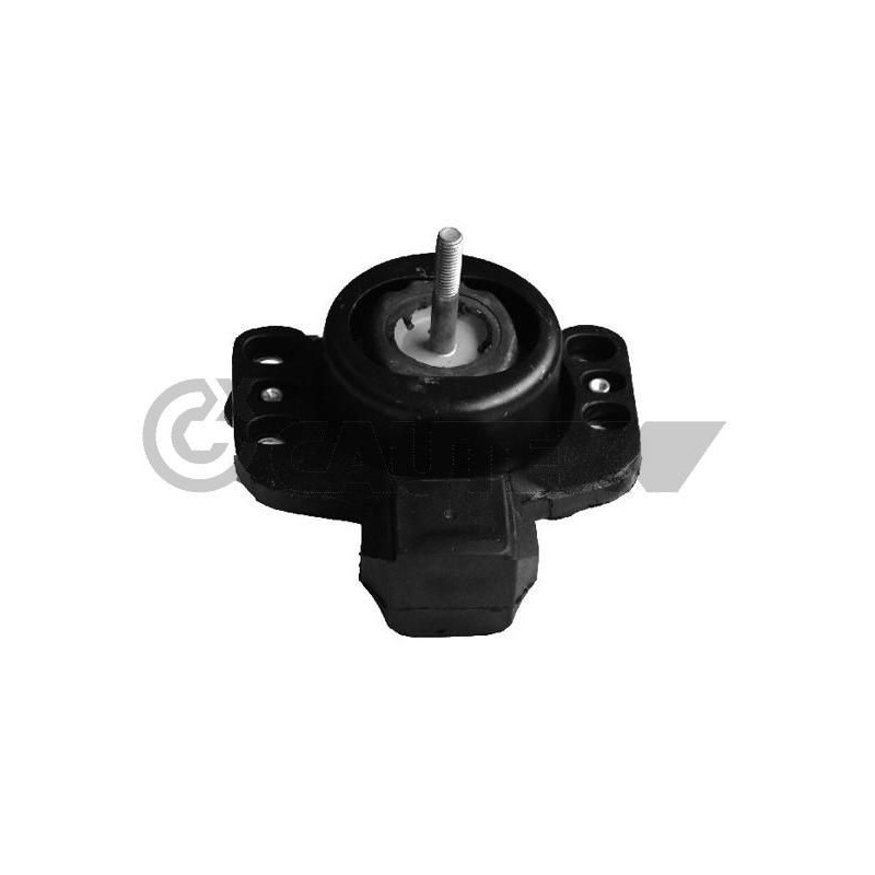 Supporto motore - CAUTEX GOMMA E PARTI MOTORE