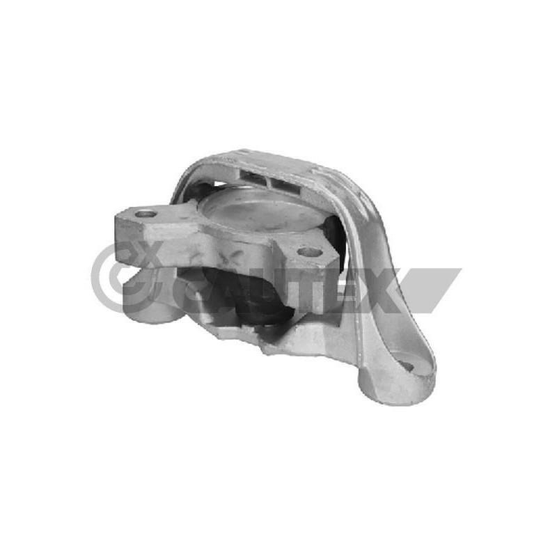 Supporto motore - CAUTEX GOMMA E PARTI MOTORE