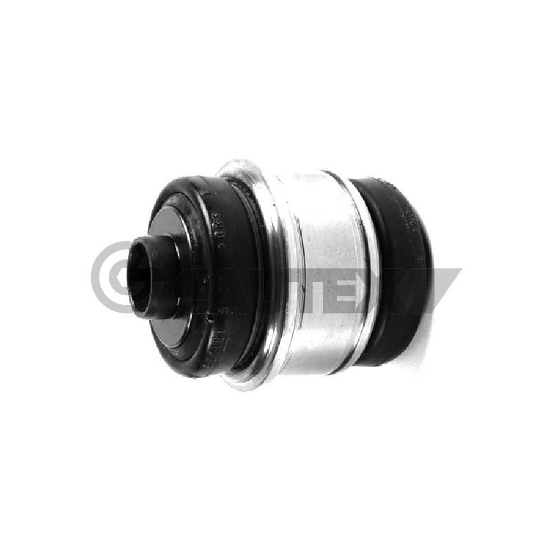 Braccio oscillante asse posteriore - CAUTEX GOMMA E PARTI MOTORE