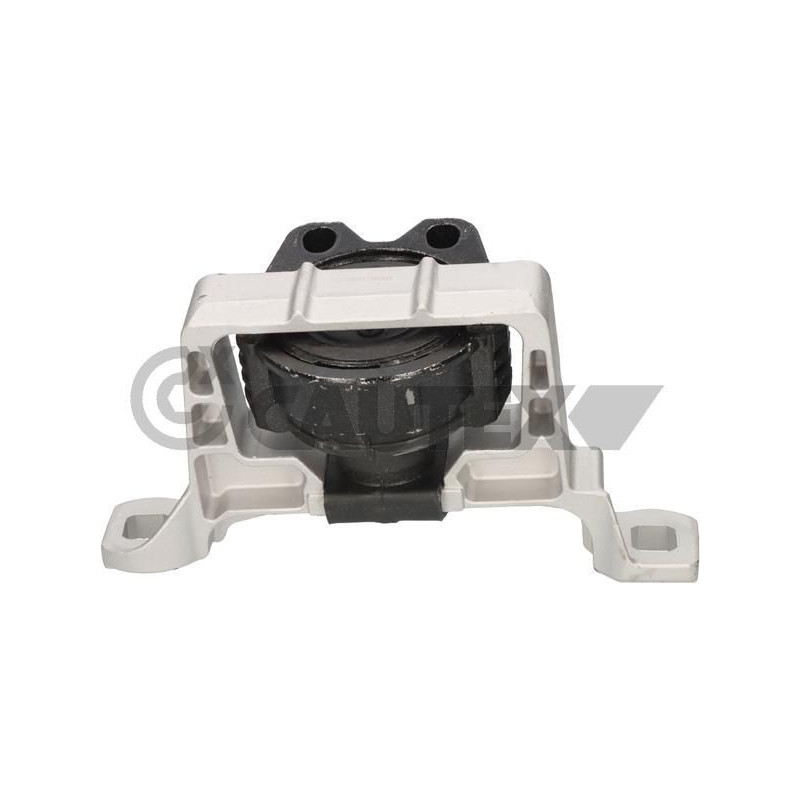 Supporto motore - CAUTEX GOMMA E PARTI MOTORE