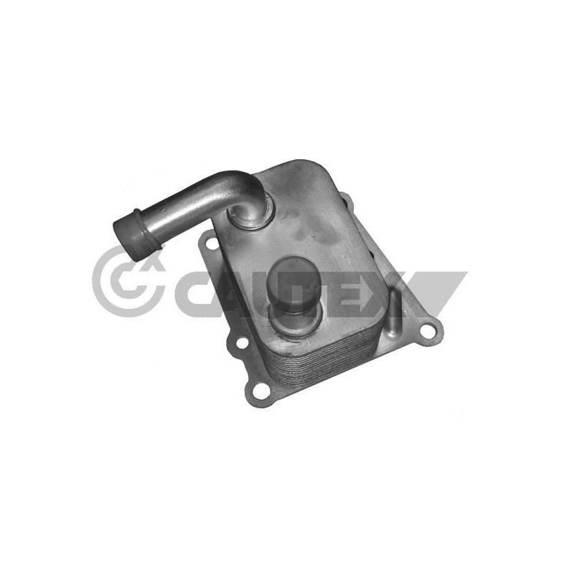 Radiatore olio motore - CAUTEX GOMMA E PARTI MOTORE