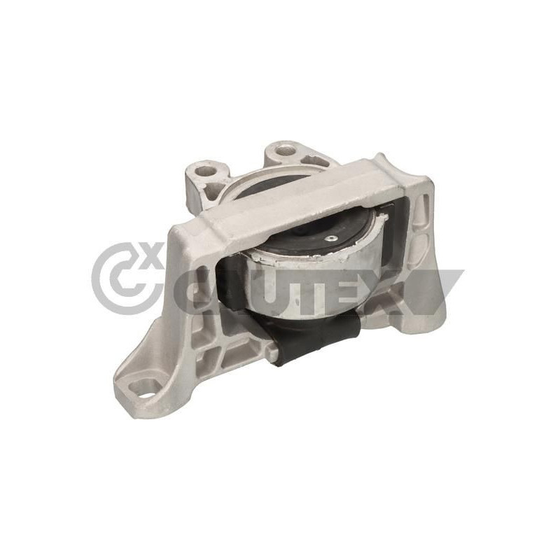 Supporto motore - CAUTEX GOMMA E PARTI MOTORE