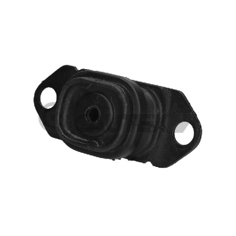 Supporto motore - CAUTEX GOMMA E PARTI MOTORE