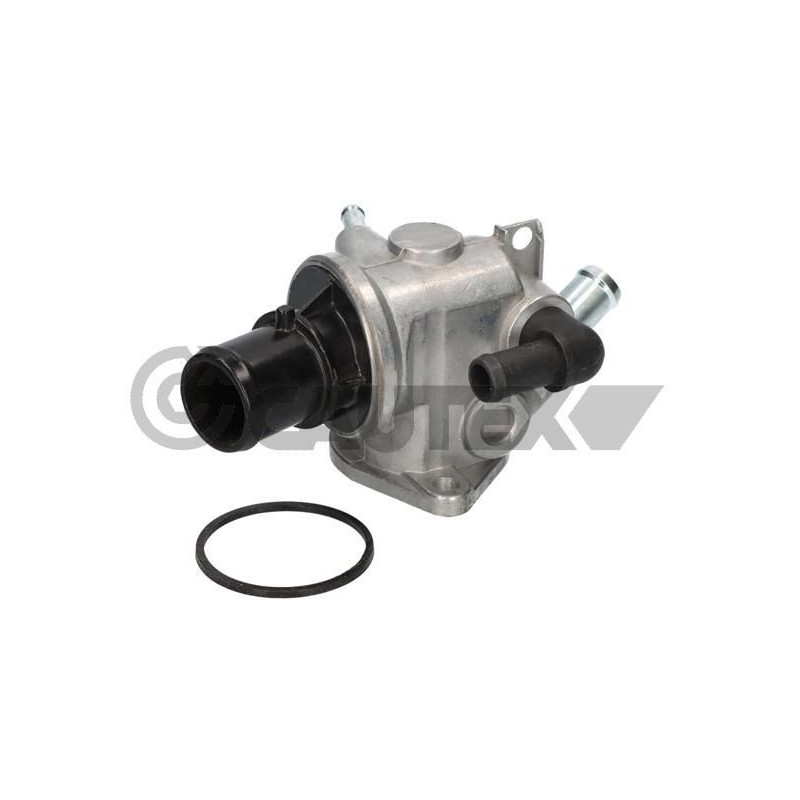 Termostato raffreddamento - CAUTEX GOMMA E PARTI MOTORE