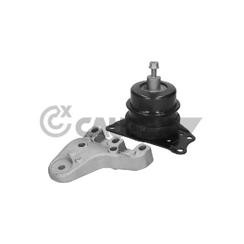 Supporto motore - CAUTEX GOMMA E PARTI MOTORE