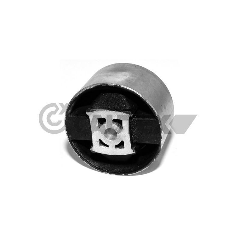 Supporto motore - CAUTEX GOMMA E PARTI MOTORE