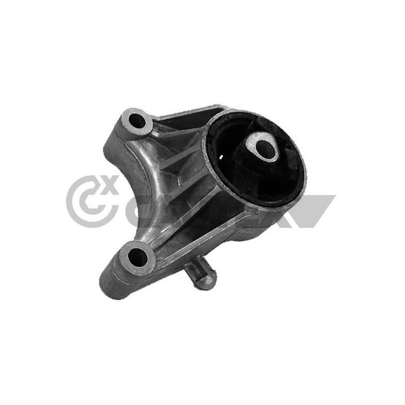 Supporto motore - CAUTEX GOMMA E PARTI MOTORE