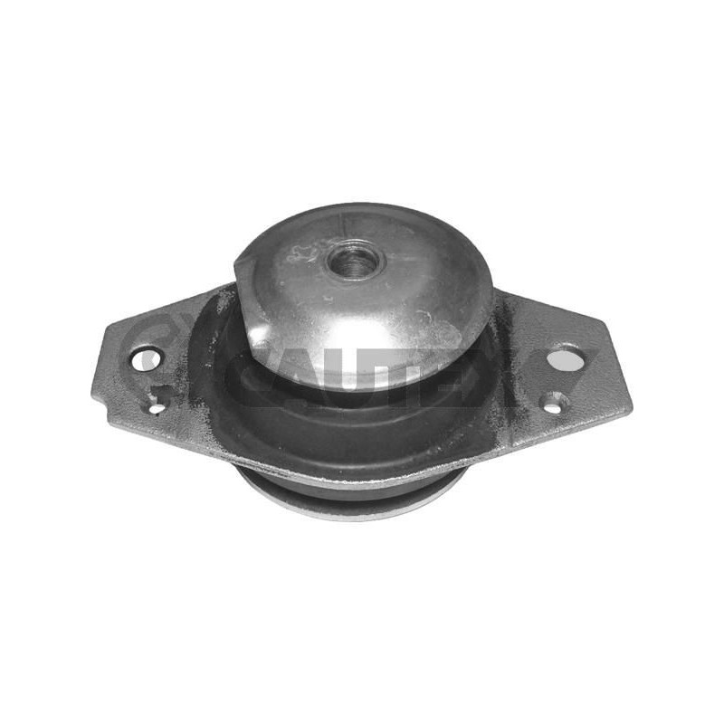 Supporto motore - CAUTEX GOMMA E PARTI MOTORE