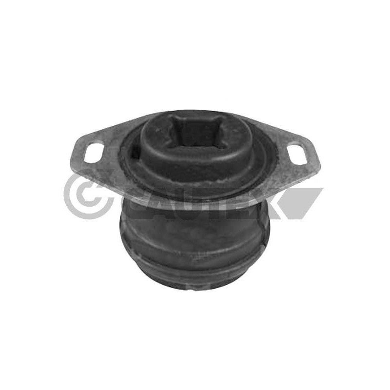 Supporto motore - CAUTEX GOMMA E PARTI MOTORE