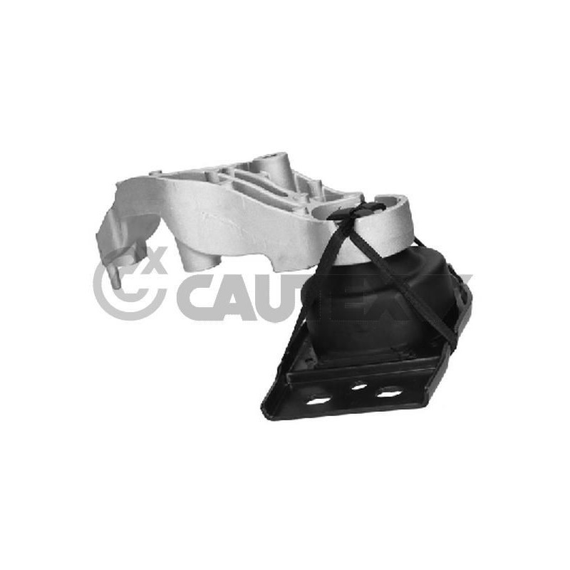 Supporto motore - CAUTEX GOMMA E PARTI MOTORE