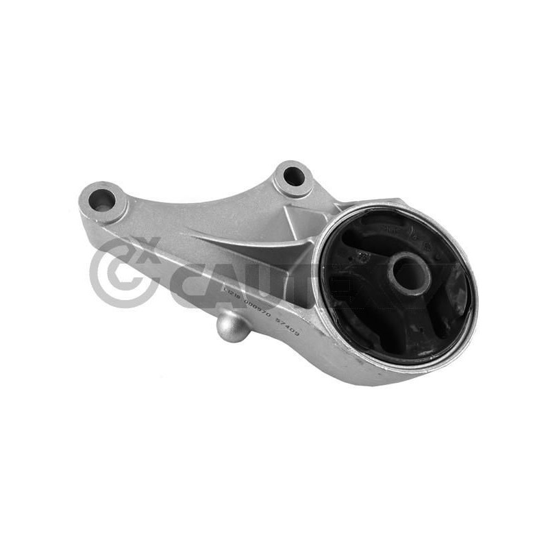 Supporto motore - CAUTEX GOMMA E PARTI MOTORE