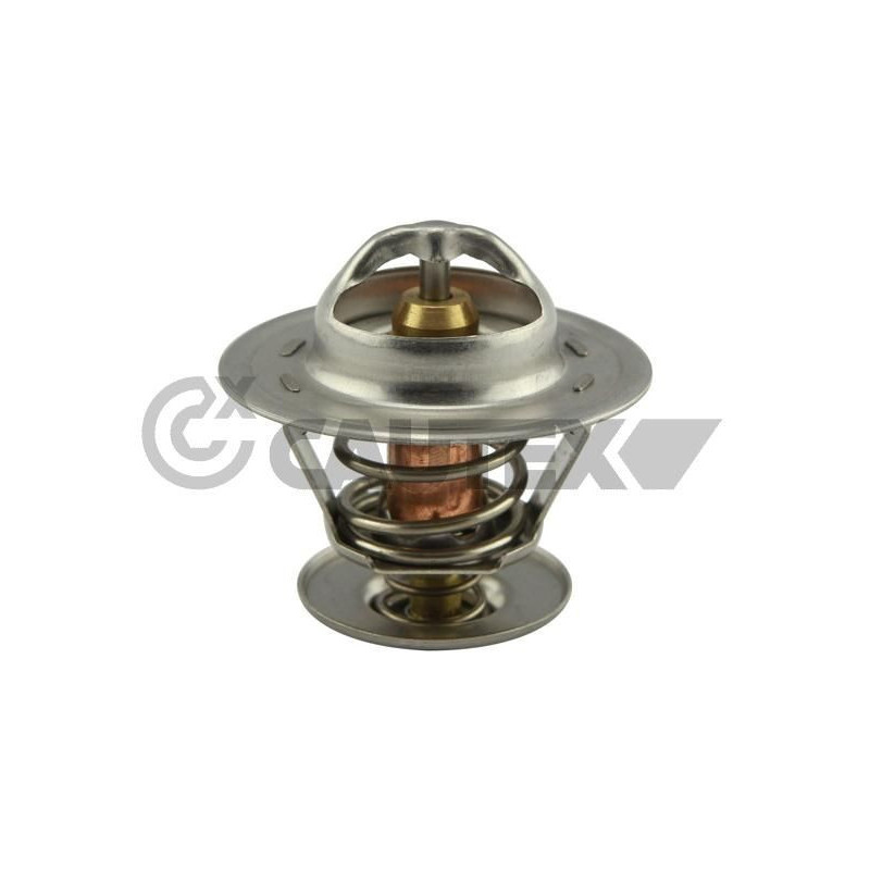 Termostato raffreddamento - CAUTEX GOMMA E PARTI MOTORE