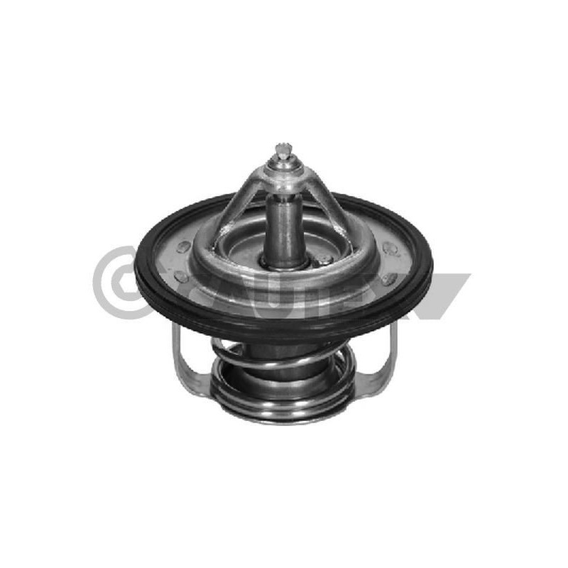 Termostato raffreddamento - CAUTEX GOMMA E PARTI MOTORE