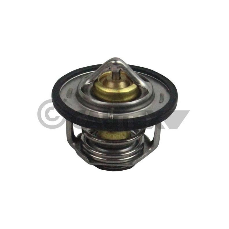 Termostato raffreddamento - CAUTEX GOMMA E PARTI MOTORE