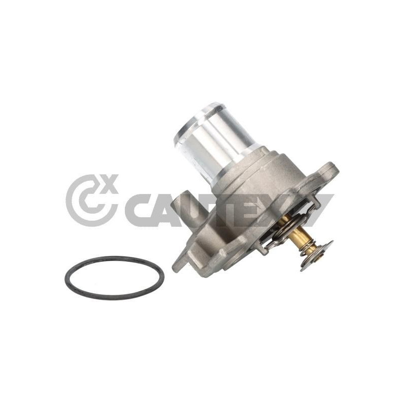 Termostato raffreddamento - CAUTEX GOMMA E PARTI MOTORE
