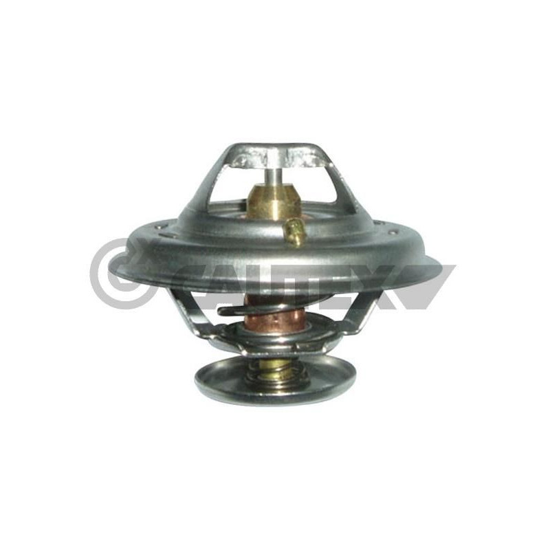 Termostato raffreddamento - CAUTEX GOMMA E PARTI MOTORE