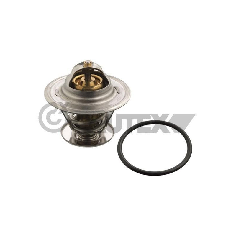 Termostato raffreddamento - CAUTEX GOMMA E PARTI MOTORE