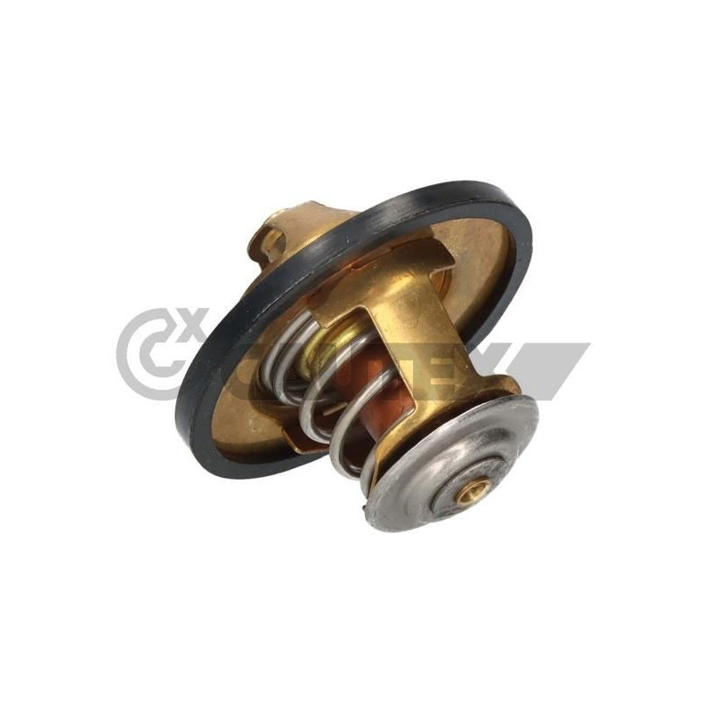 Termostato raffreddamento - CAUTEX GOMMA E PARTI MOTORE