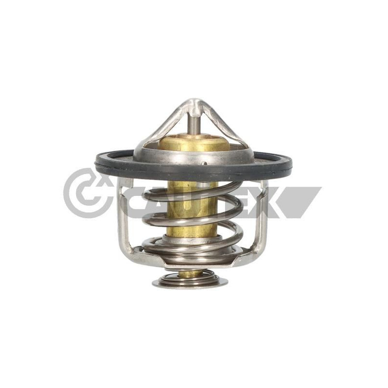 Termostato raffreddamento - CAUTEX GOMMA E PARTI MOTORE