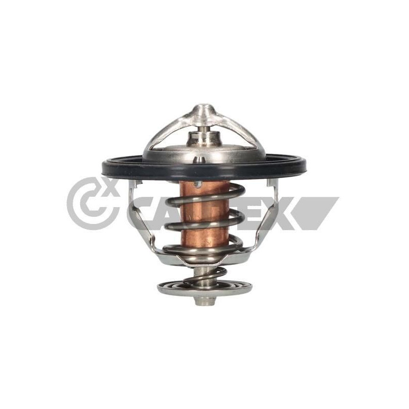 Termostato raffreddamento - CAUTEX GOMMA E PARTI MOTORE