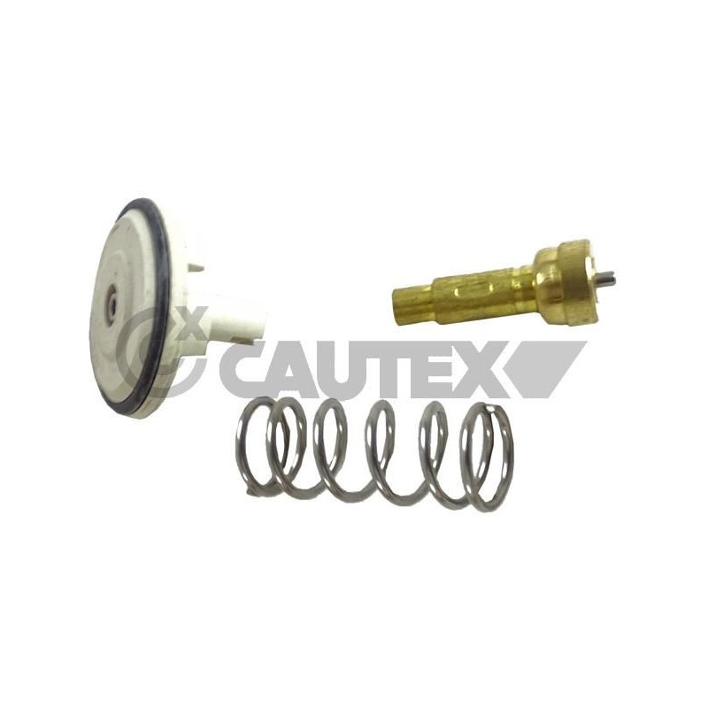 Termostato raffreddamento - CAUTEX GOMMA E PARTI MOTORE