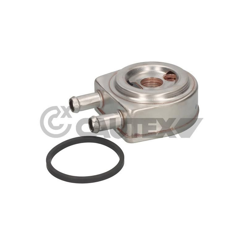 Radiatore olio motore - CAUTEX GOMMA E PARTI MOTORE