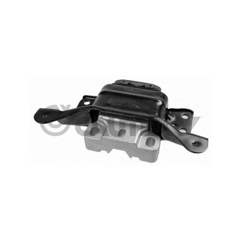 Supporto motore - CAUTEX GOMMA E PARTI MOTORE