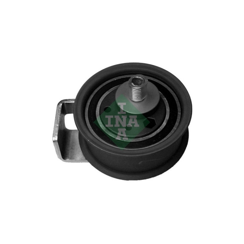 Tendicinghia distribuzione - INA