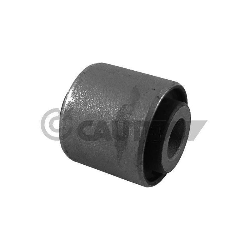 Braccio oscillante asse posteriore - CAUTEX GOMMA E PARTI MOTORE