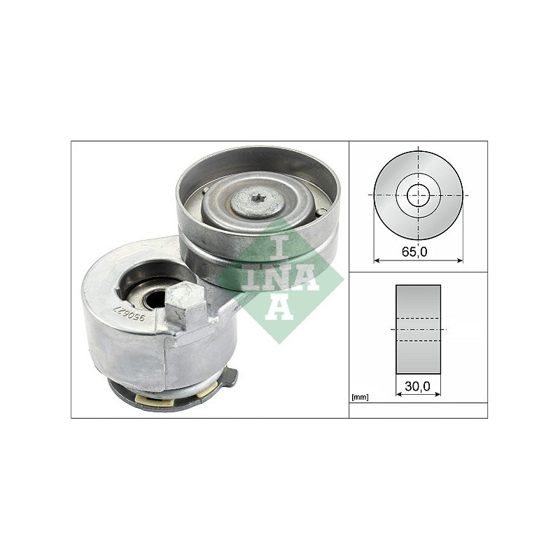 Tendicinghia trapezoidale - INA