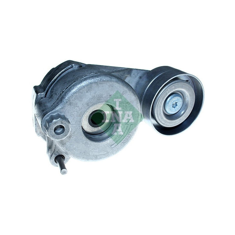 Tendicinghia trapezoidale - INA