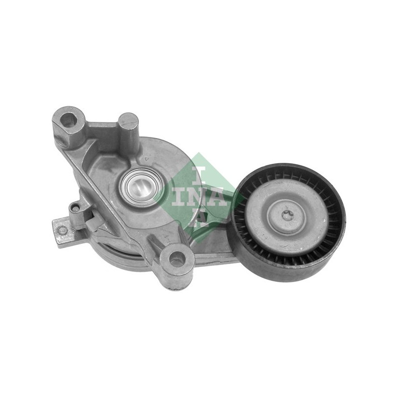 Tendicinghia trapezoidale - INA